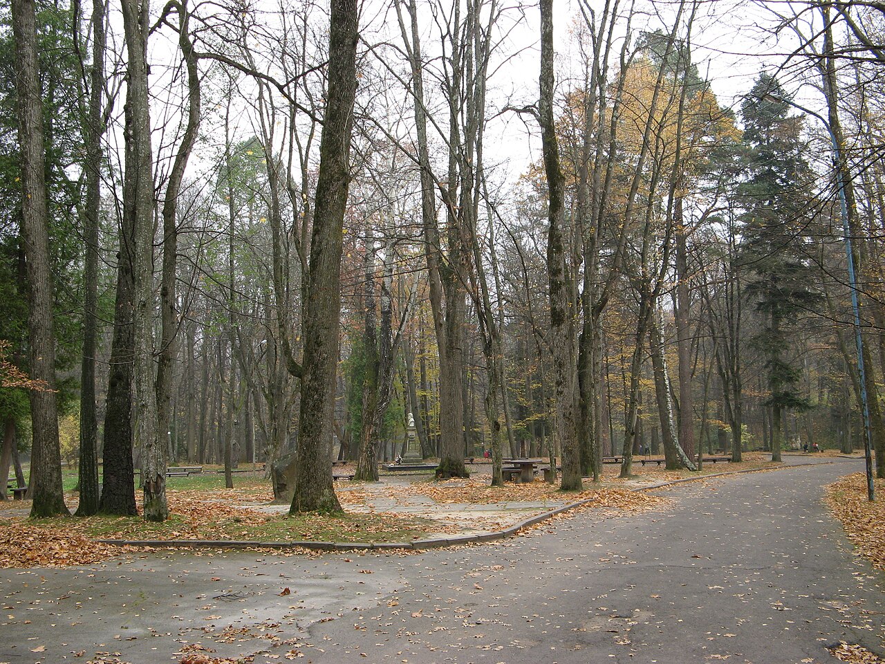 Park Kuracyjny